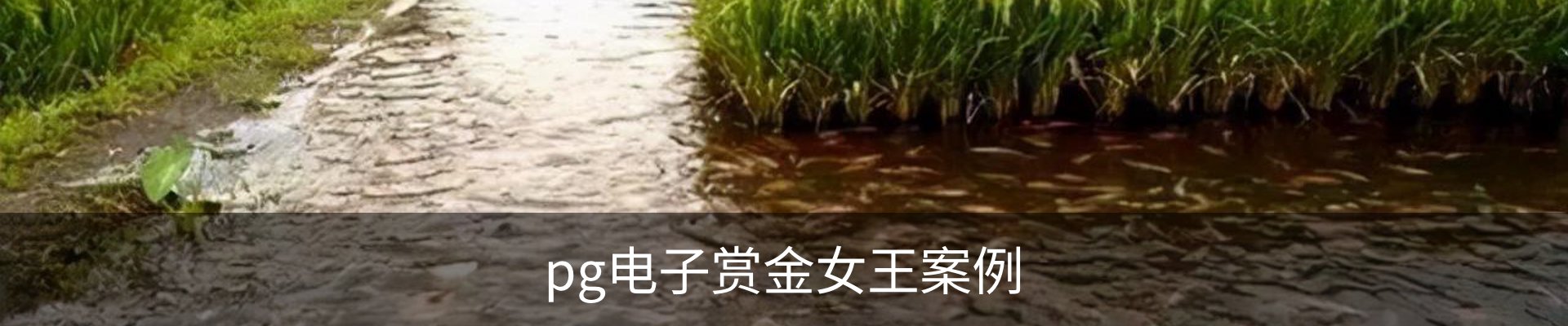 pg电子赏金女王案例